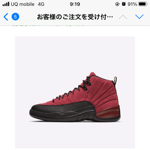 NIKE AIR JORDAN 12 エアジョーダン12