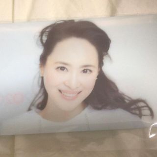 松田聖子プレカウントダウンコンサート　入場者限定　配布　マスクケース(アイドルグッズ)