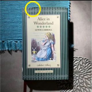 ルイスキャロル　不思議の国のアリス　洋書(洋書)