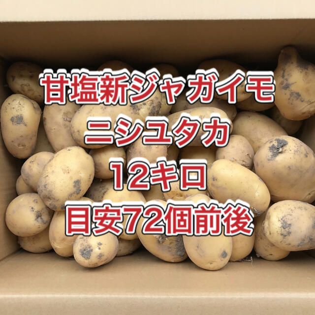 【鹿児島産】甘塩新ジャガイモ箱込み12キロ^_^ 食品/飲料/酒の食品(野菜)の商品写真