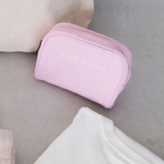 アリシアスタン(ALEXIA STAM)のアリシアスタン　HAPPY BAG 2021ポーチのみ(ポーチ)