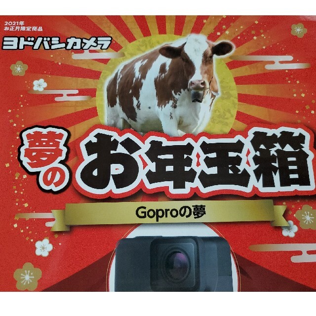 GoProの夢 ヨドバシカメラ 2021年 お年玉箱 HERO8