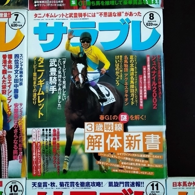 （値下げ）サラブレ　2002年（1年13冊セット） 1