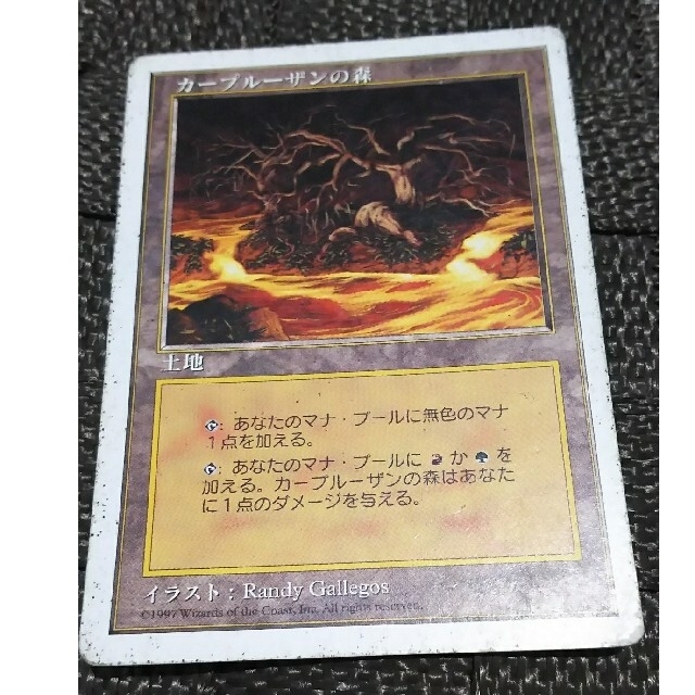 マジック：ザ・ギャザリング(マジックザギャザリング)のMTG  カープルーザンの森、他 エンタメ/ホビーのトレーディングカード(シングルカード)の商品写真