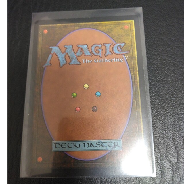 マジック：ザ・ギャザリング(マジックザギャザリング)のMTG  カープルーザンの森、他 エンタメ/ホビーのトレーディングカード(シングルカード)の商品写真