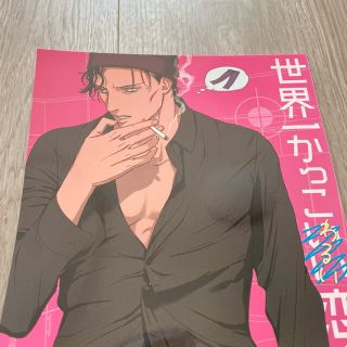 世界一かっこわるい恋人(その他)