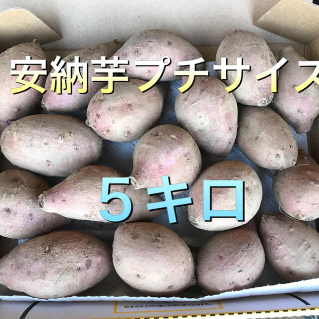 安納芋プチサイズ 食品/飲料/酒の食品(野菜)の商品写真