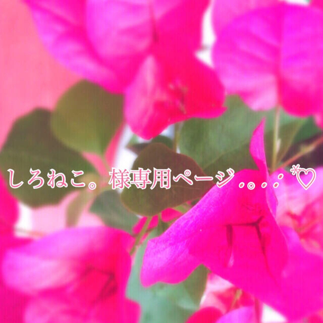 しろねこ様専用ページ(⑅˘͈ ᵕ ˘͈ ).。.:*♡ 特別価格 www