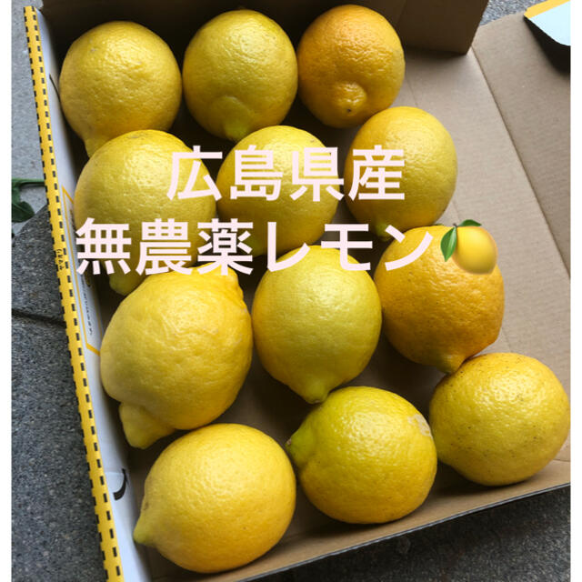 広島県産　無農薬　国産　レモン　産地直送　送料無料 食品/飲料/酒の食品(フルーツ)の商品写真