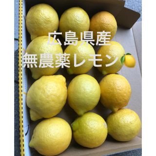 広島県産　無農薬　国産　レモン　産地直送　送料無料(フルーツ)