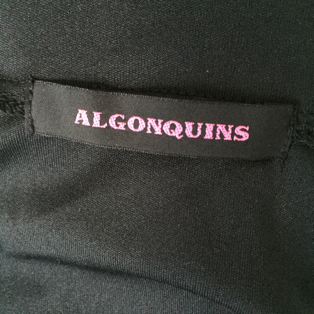 ALGONQUINS ジャージ レディースのトップス(パーカー)の商品写真