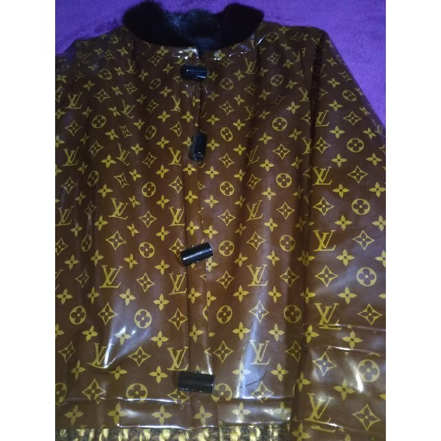 LOUIS VUITTON - 正規✨希少超レア✨美品✨ルィヴィトンミンク衿