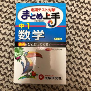 中学１年／数学まとめ上手 ３訂版(語学/参考書)