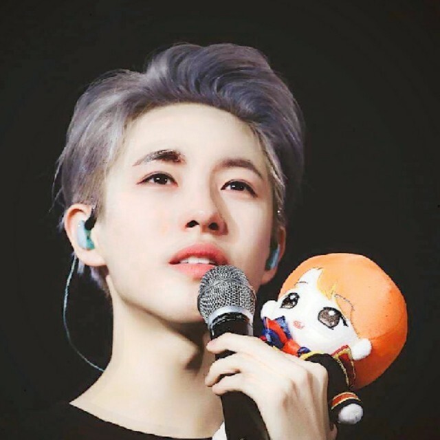 nct dream ロンジュン ぬいぐるみ ドール 人形 20cm