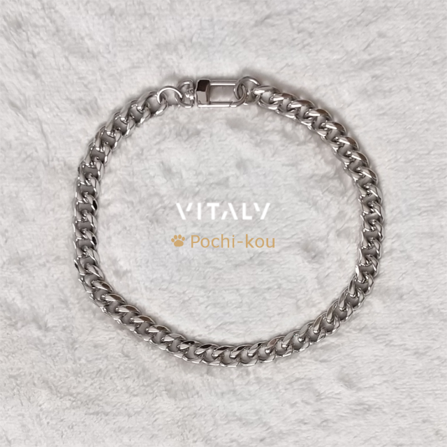 日本未入荷 Vitaly TRANSIT 45cm チェーン ネックレス 銀色 | フリマアプリ ラクマ