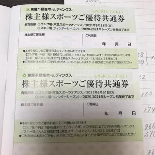 東急ホールディングス　株主優待券(その他)