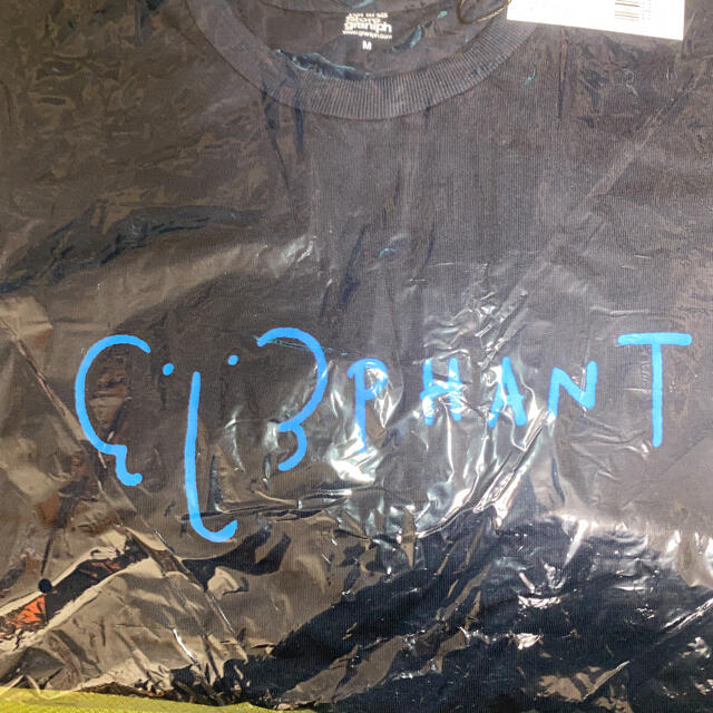 Design Tshirts Store graniph(グラニフ)のグラニフ　ユニセックスM 4枚 メンズのトップス(Tシャツ/カットソー(半袖/袖なし))の商品写真