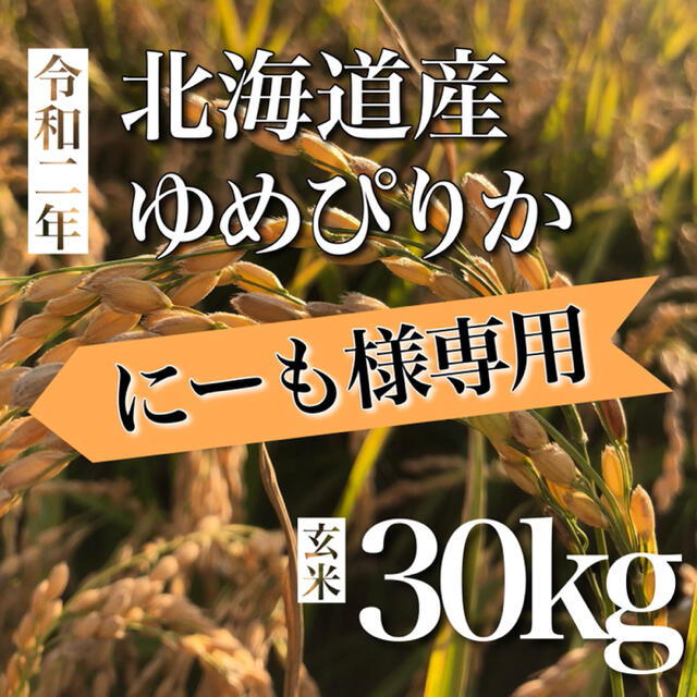 ★にーも様★専用 北海道産ゆめぴりか 30kg 米/穀物