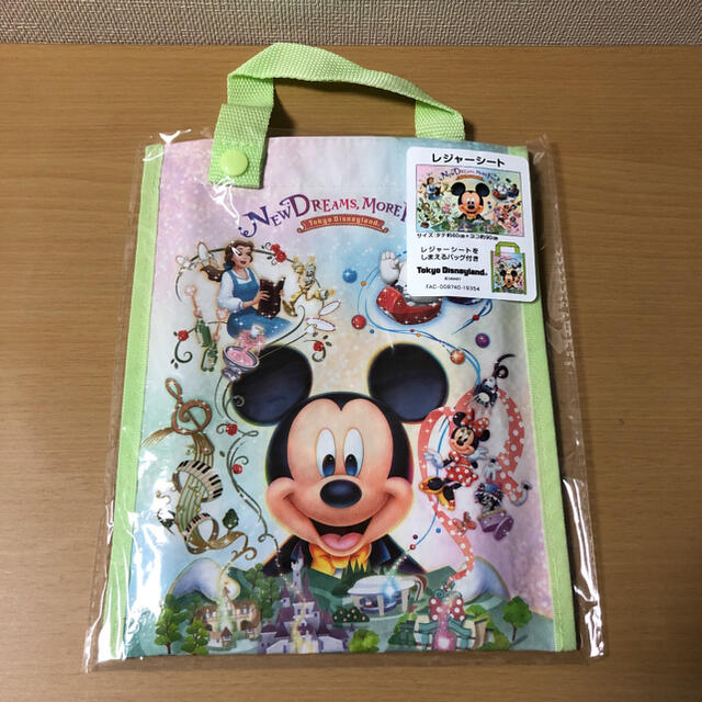 Disney 東京ディズニーランド 新エリア レジャーシート 収納バッグ付きの通販 By ちず 書籍 一部商品の次回発送2 7 ディズニーならラクマ