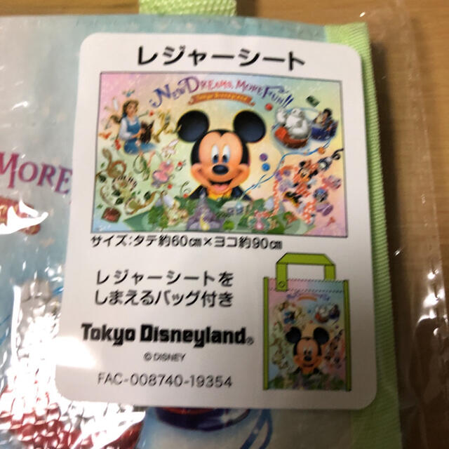 Disney 東京ディズニーランド 新エリア レジャーシート 収納バッグ付きの通販 By 文庫 新書350円以下 4冊1 000円 10冊2 000円キャンペーン実施中 ディズニーならラクマ