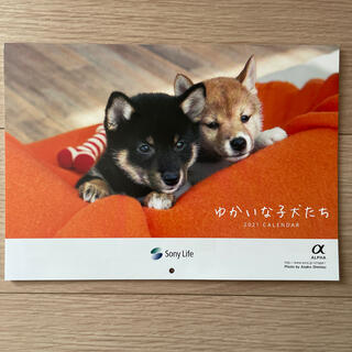 ソニー(SONY)のカレンダー　2021 犬(カレンダー/スケジュール)