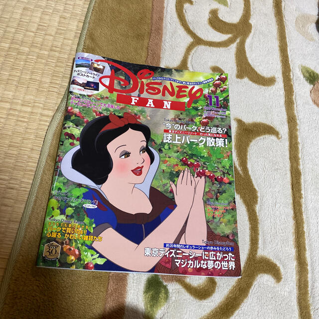 Disney(ディズニー)のDisney FAN (ディズニーファン) 2020年 11月号 エンタメ/ホビーの雑誌(絵本/児童書)の商品写真