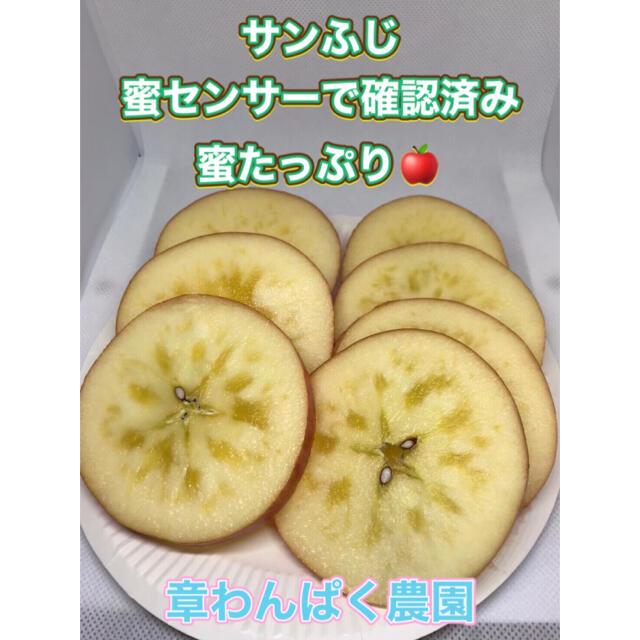 セール！　特選サンふじ　贈答用　10キロ　長野県産 減農薬　化学肥料不使用 食品/飲料/酒の食品(フルーツ)の商品写真