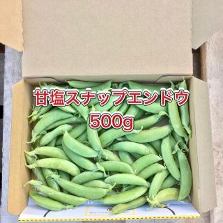 【鹿児島産】甘塩スナップエンドウ箱込み500g^_^(野菜)