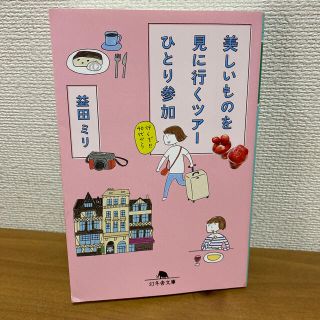 美しいものを見に行くツアーひとり参加(文学/小説)