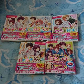 HoneyWorks 小説まとめ売り(文学/小説)