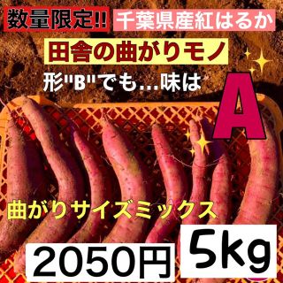 千葉県産サツマイモ　熟成紅はるか　曲がり　5kg概要必読(野菜)