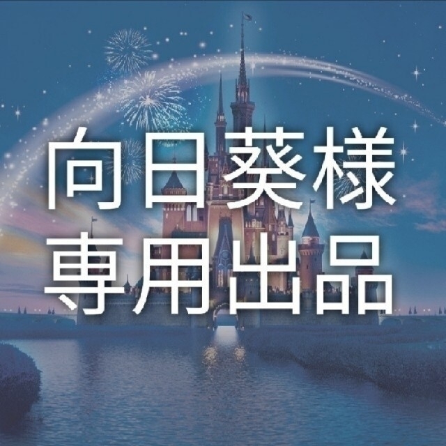 向日葵様 専用出品ページ-