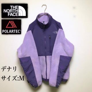 ザノースフェイス(THE NORTH FACE)のゆるだぼ　激レアカラー　NorthFace ノースフェイス　デナリ　ジャケット(その他)