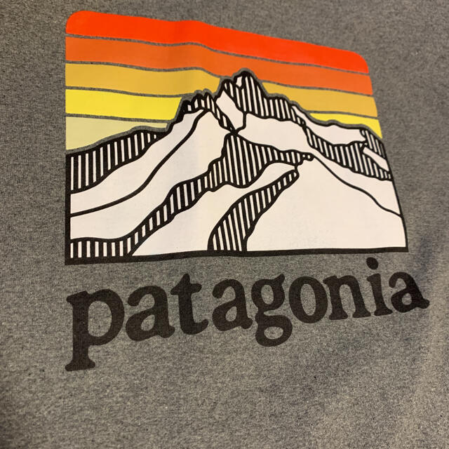 patagonia(パタゴニア)のパタゴニア　ロゴフーディ メンズのトップス(パーカー)の商品写真