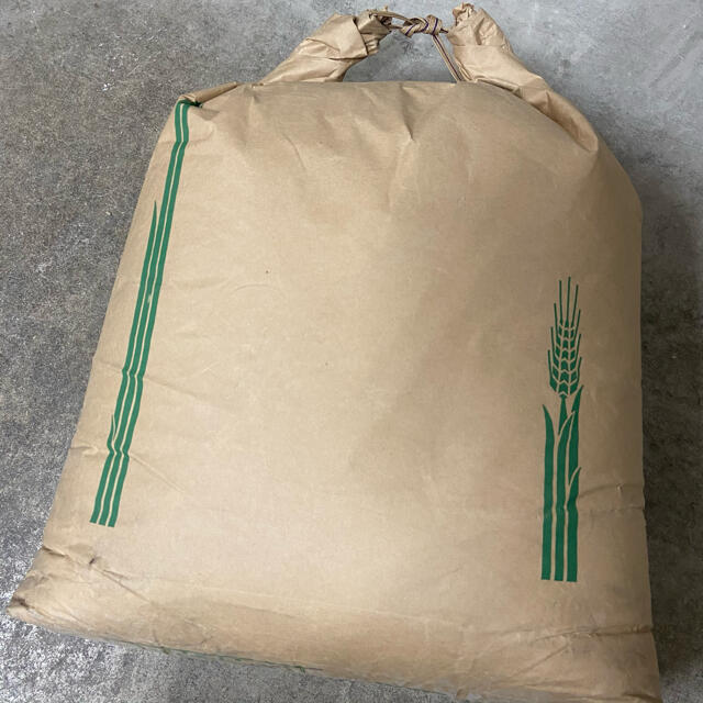 くず米 20kg  米・雑穀 鳥の餌 飼料 肥料 食品/飲料/酒の食品(米/穀物)の商品写真
