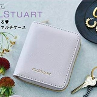 ジルスチュアート(JILLSTUART)のゼクシィ　付録(ポーチ)