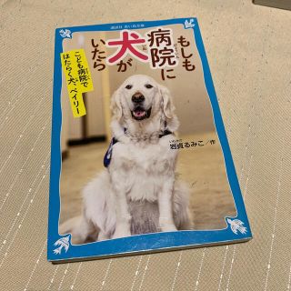 もしも病院に犬がいたら(絵本/児童書)