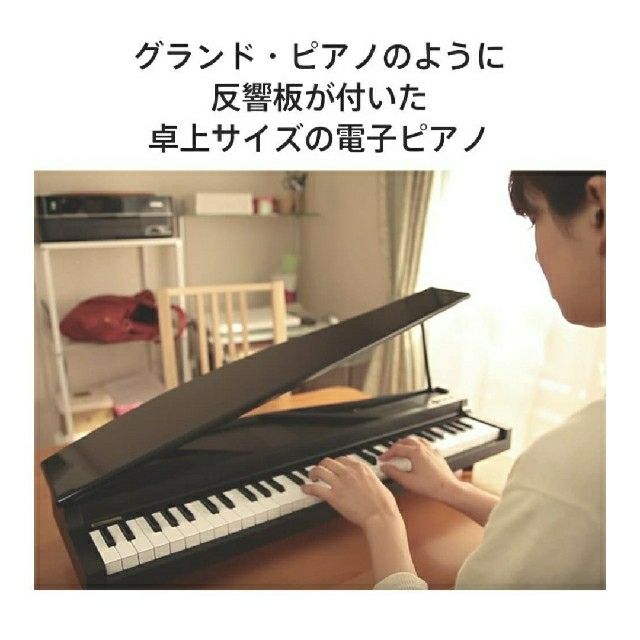 【週末のみ値下げ】KORG マイクロピアノ 61鍵 レッド  楽器の鍵盤楽器(電子ピアノ)の商品写真