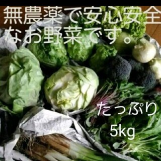 無農薬野菜　詰め合わせセット(野菜)