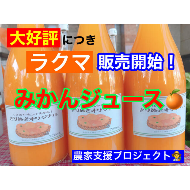 温州みかんジュース720ml×３本 食品/飲料/酒の飲料(ソフトドリンク)の商品写真