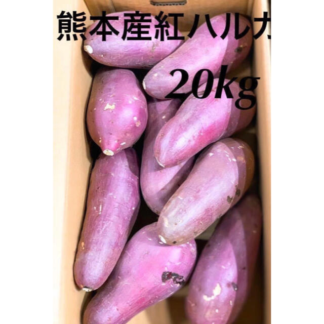 熊本県 サツマイモ 紅はるか 20kg - 野菜