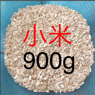 小米　くず米　エサ米(米/穀物)