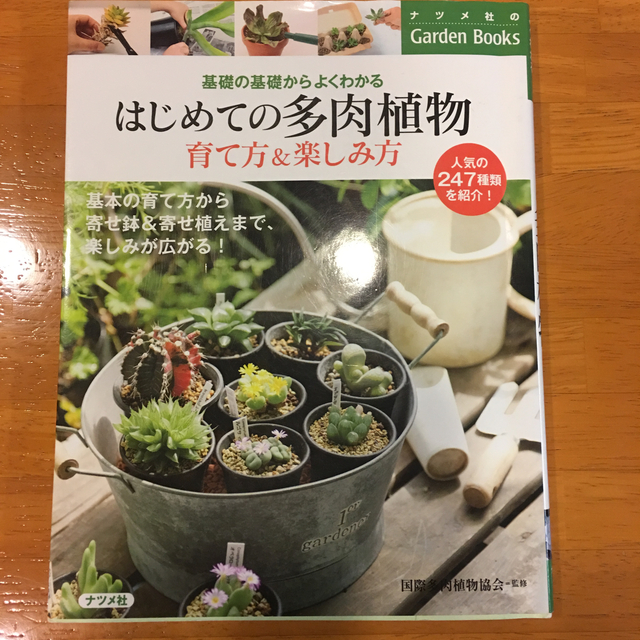 よく育つ多肉植物book おまとめisack様専用 の通販 By アンジュ S Shop ラクマ よく育つ多肉植物book おまとめisack様専用 の通販 By アンジュ S Shop ラクマ