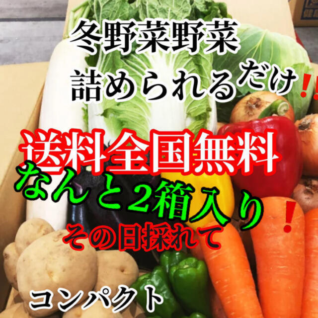 なんと2箱入り❗️農家直送野菜コンパクト入る分だけ詰めます送料無料 食品/飲料/酒の食品(野菜)の商品写真