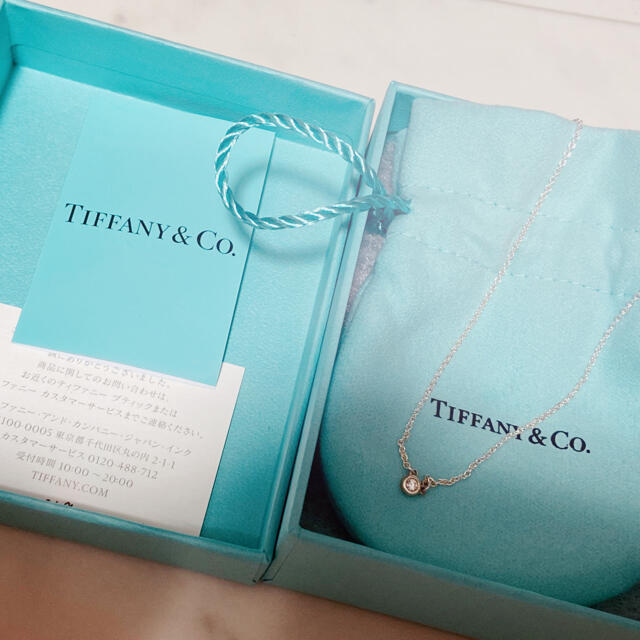 Tiffany & Co.(ティファニー)のエルサ・ペレッティ™ ダイヤモンド バイザ ヤード™ ペンダント　シルバー レディースのアクセサリー(ネックレス)の商品写真