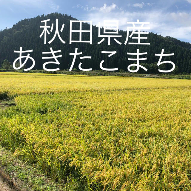 【関東圏にお住まいの方限定】令和2年産秋田県産　あきたこまち　玄米　30kg 食品/飲料/酒の食品(米/穀物)の商品写真