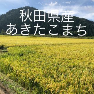 【関東圏にお住まいの方限定】令和2年産秋田県産　あきたこまち　玄米　30kg(米/穀物)