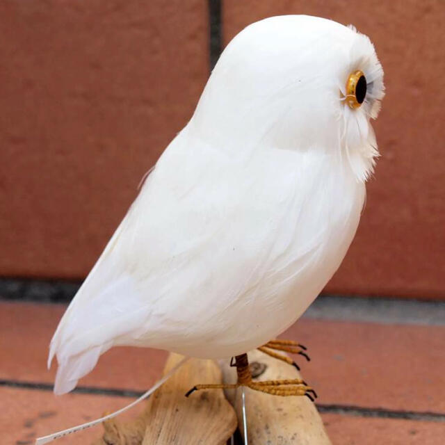unico(ウニコ)のプエブコ PUEBCOバードオブジェ White Owl白フクロウ横向き インテリア/住まい/日用品のインテリア小物(置物)の商品写真