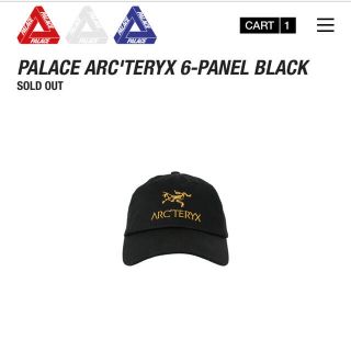 アークテリクス(ARC'TERYX)のパレス×アークテリクス　キャップ(キャップ)