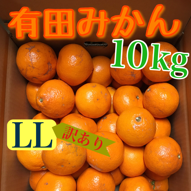 有田みかん10kg【訳あり】 食品/飲料/酒の食品(フルーツ)の商品写真